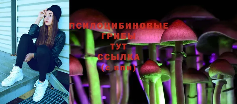 Галлюциногенные грибы Psilocybine cubensis  Павловский Посад 